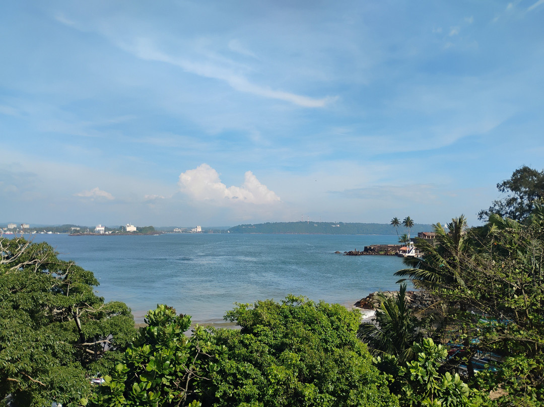 Bee Lanka Tours景点图片