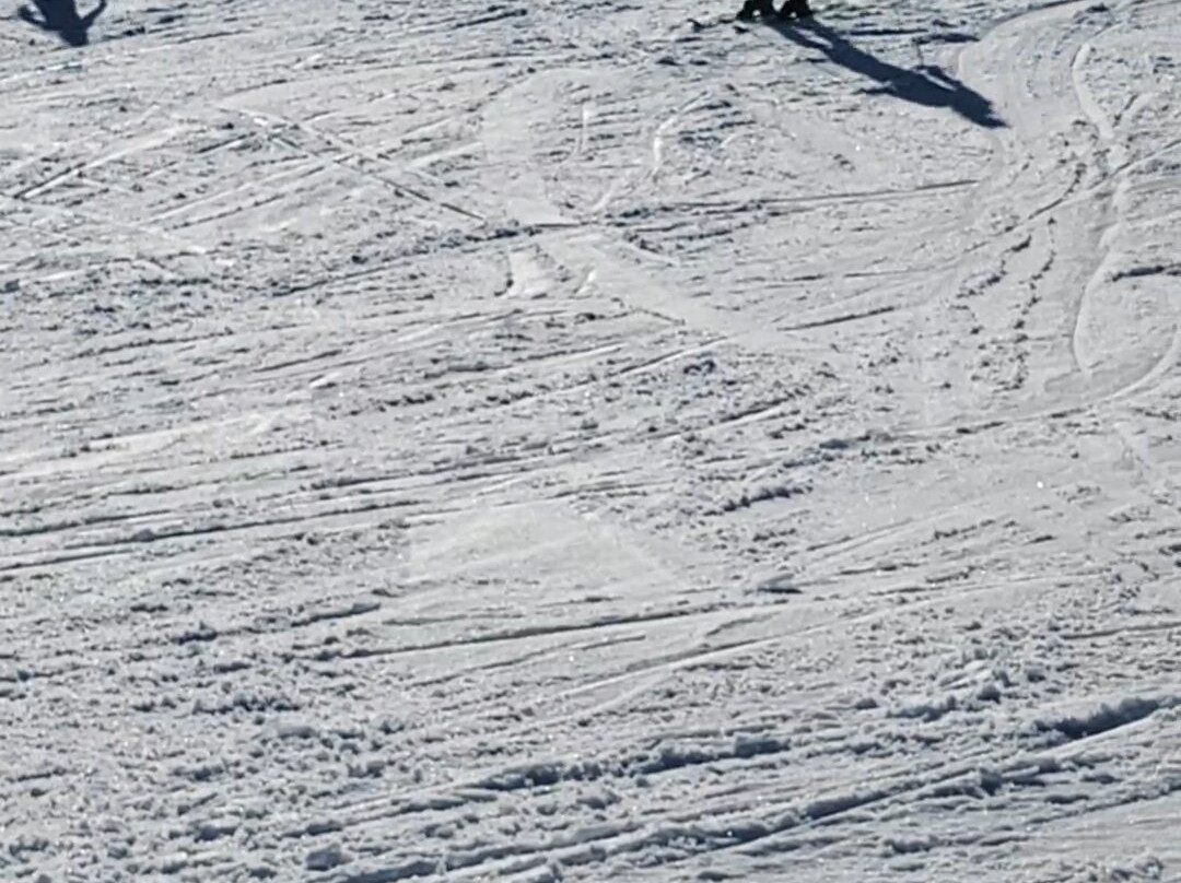 SkiSchool.si Kranjska Gora-Kranjska Gora必去景点