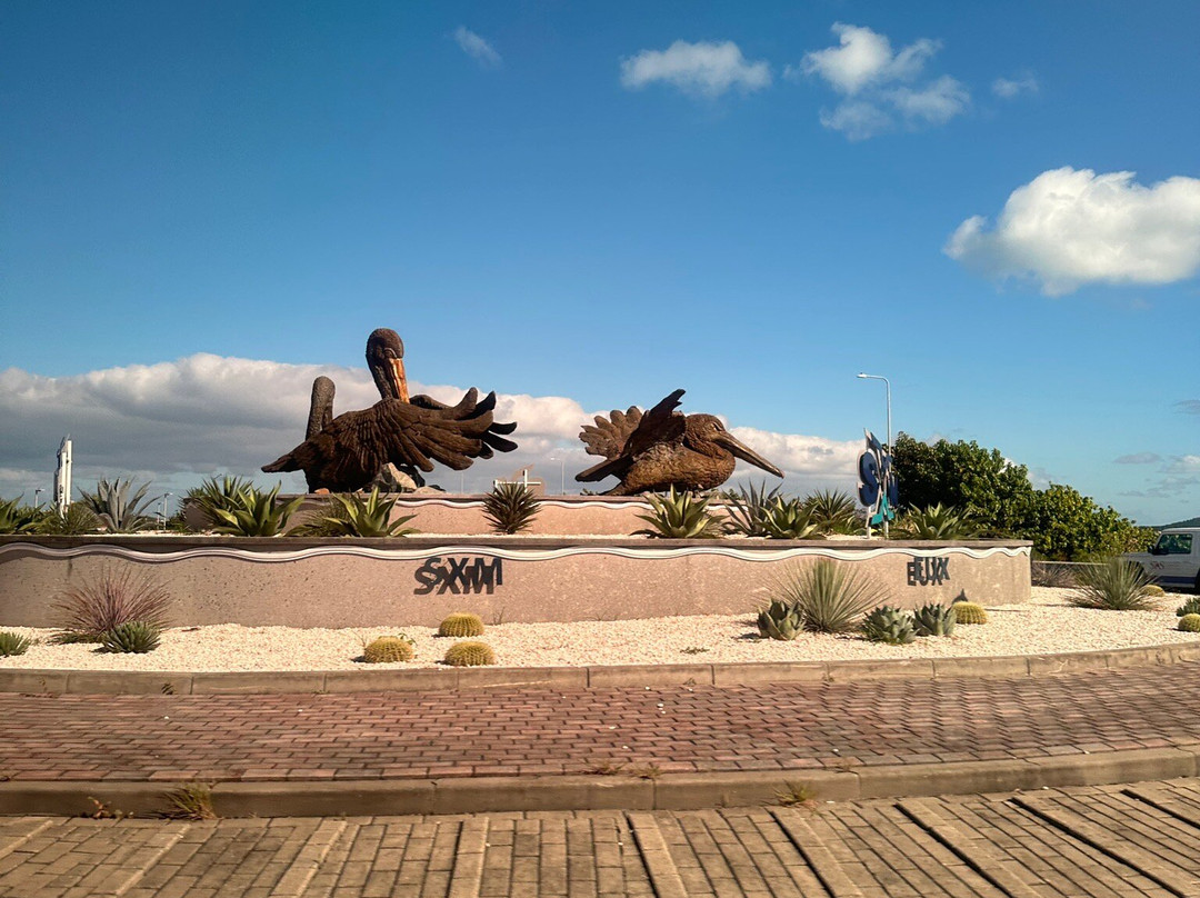 Brown Pelicans-辛普森湾必去景点