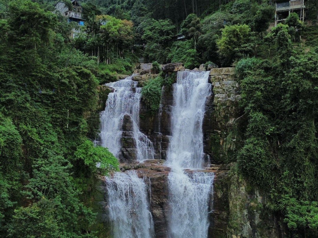 Sri Lanka driver booking & tours plc-Nawalapitiya必去景点