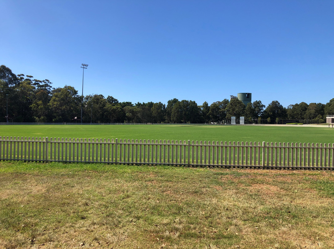 Alan Davidson Oval-Alexandria必去景点