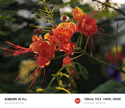 The Commonroom CNX主图