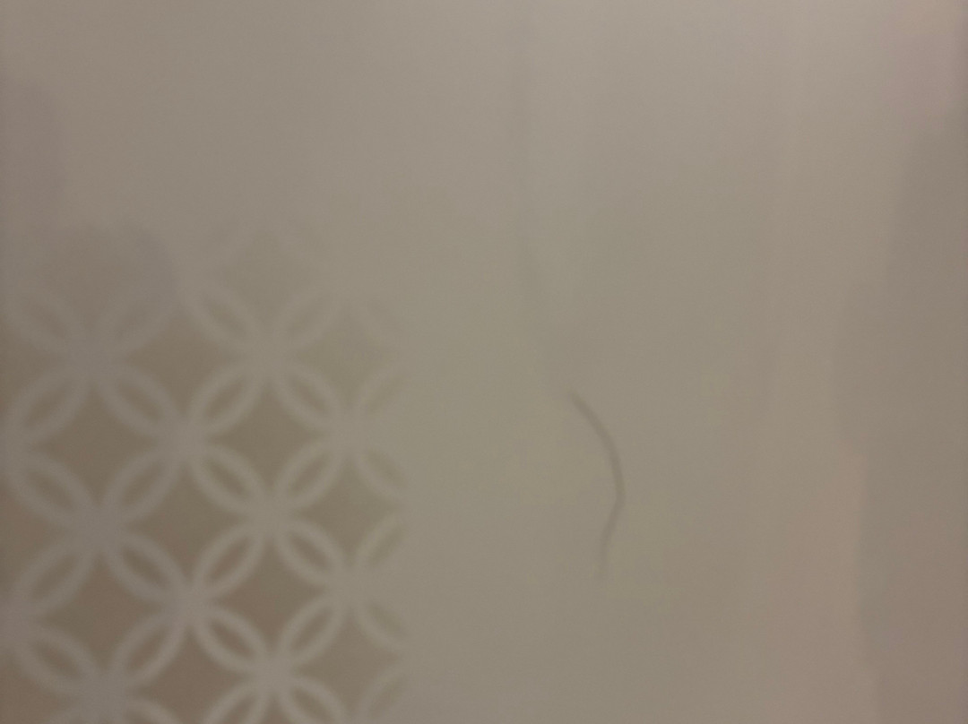 Premier Inn Truro Hotel主图