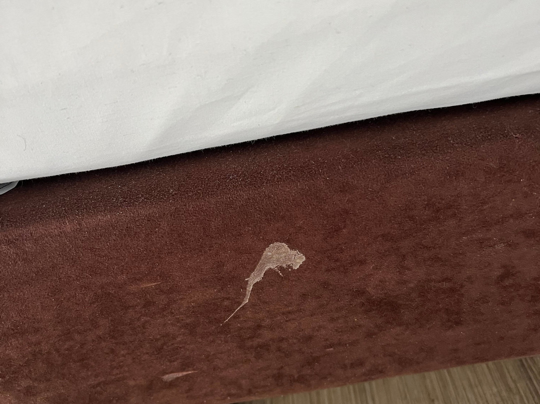 Sercotel Boulevard Vitoria主图