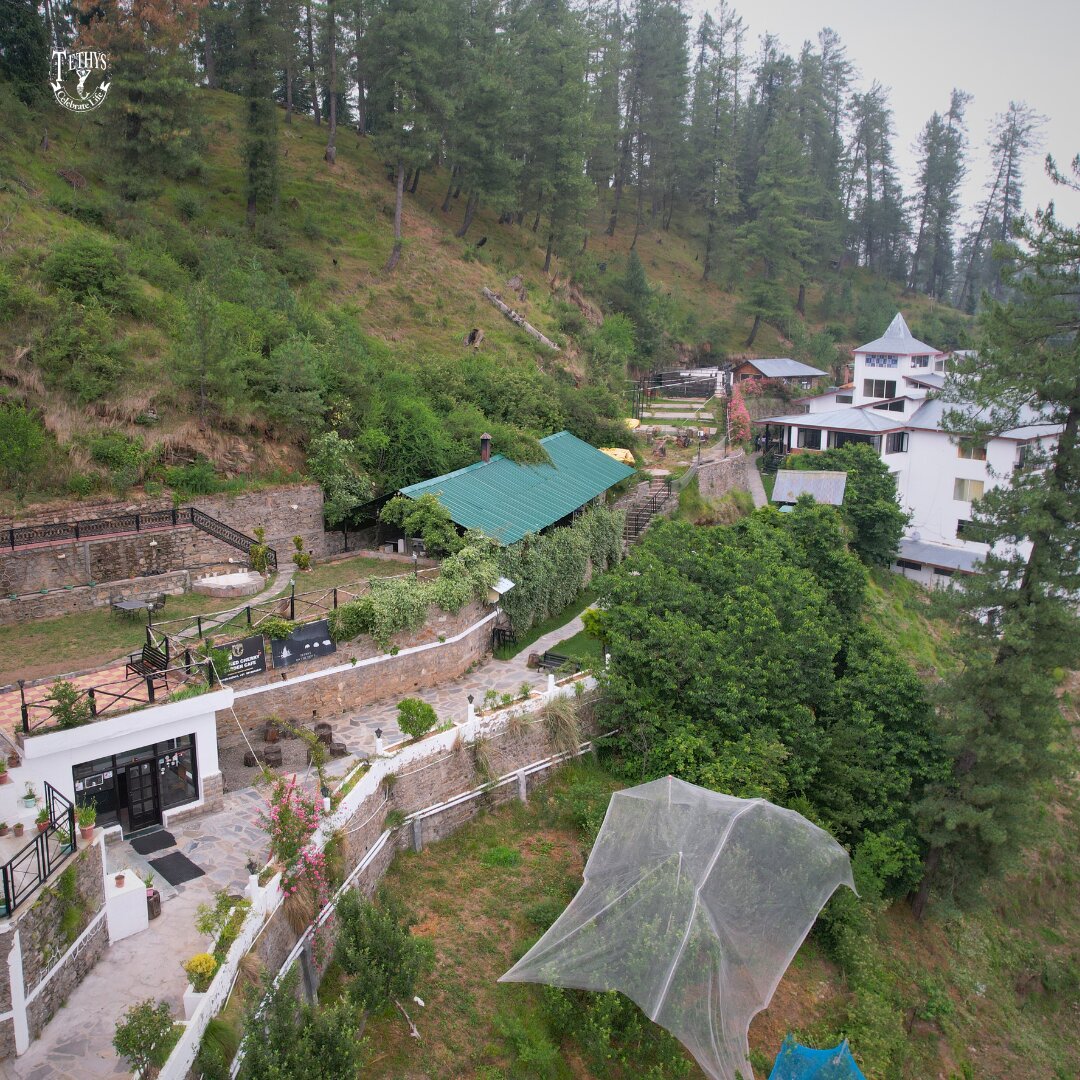 Tethys Himalaya Ski Resort Narkanda-酒店景观