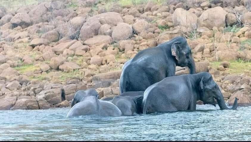 Hotel Lake Jay主图