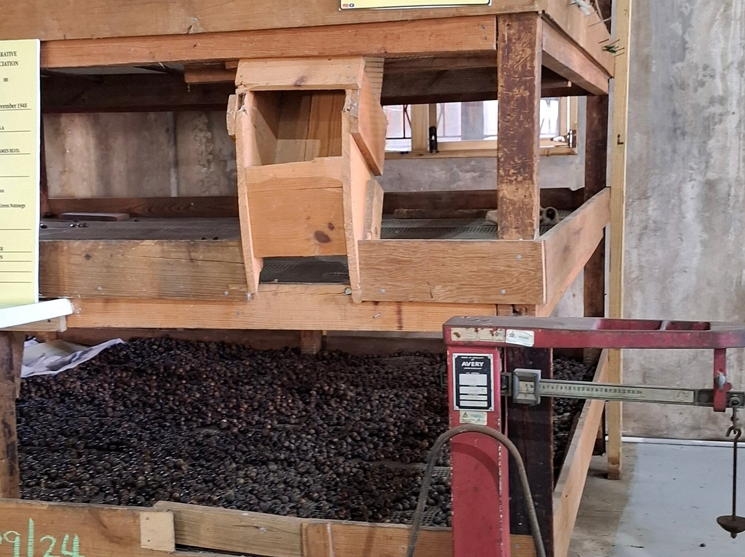 Grenada Co-Operative Nutmeg Association-格林纳达必去景点