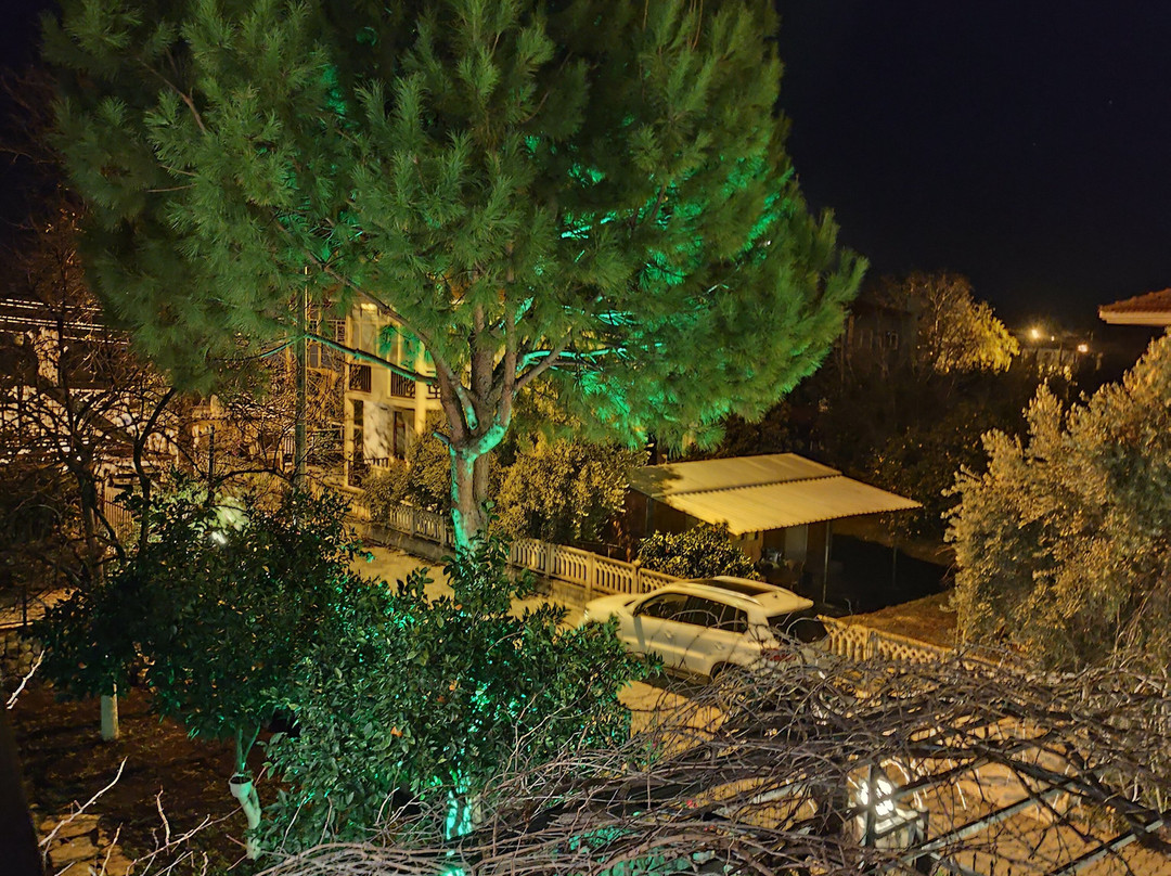 Sayan Apart Hotel