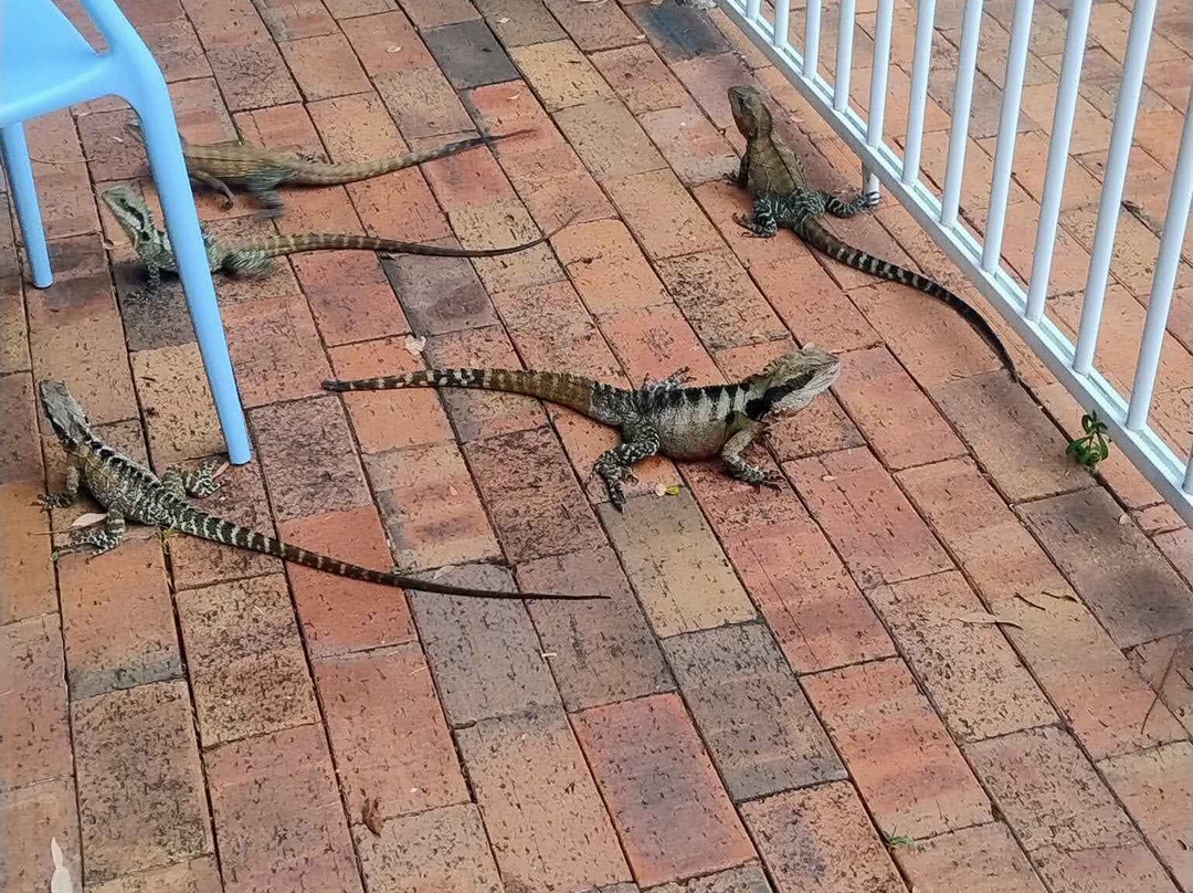 阿曲亚吉汽车旅馆主图