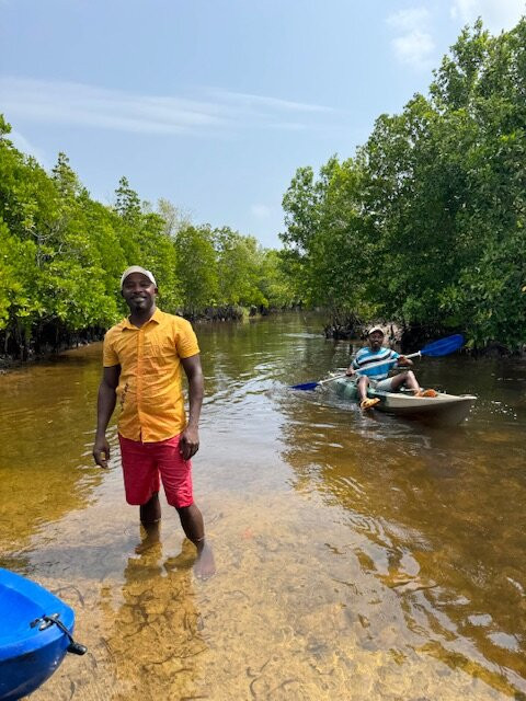 Bwejuu Mangrove Tunnels Kayak景点图片