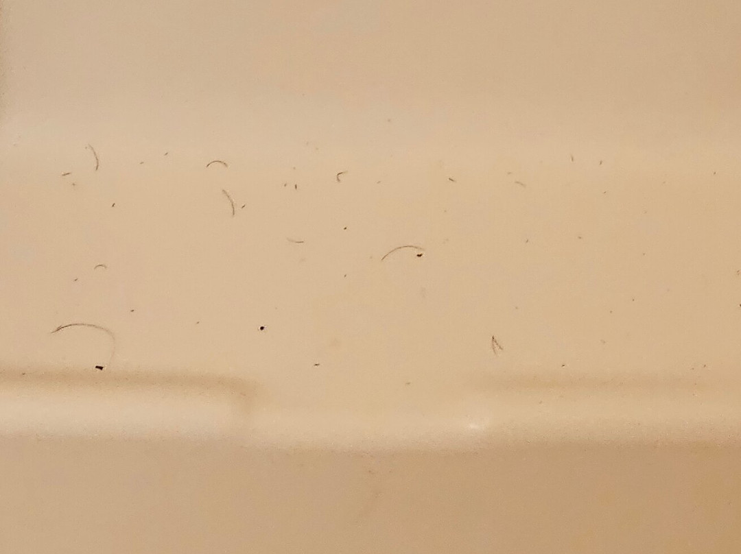 Super 8 by Wyndham Wheeling主图