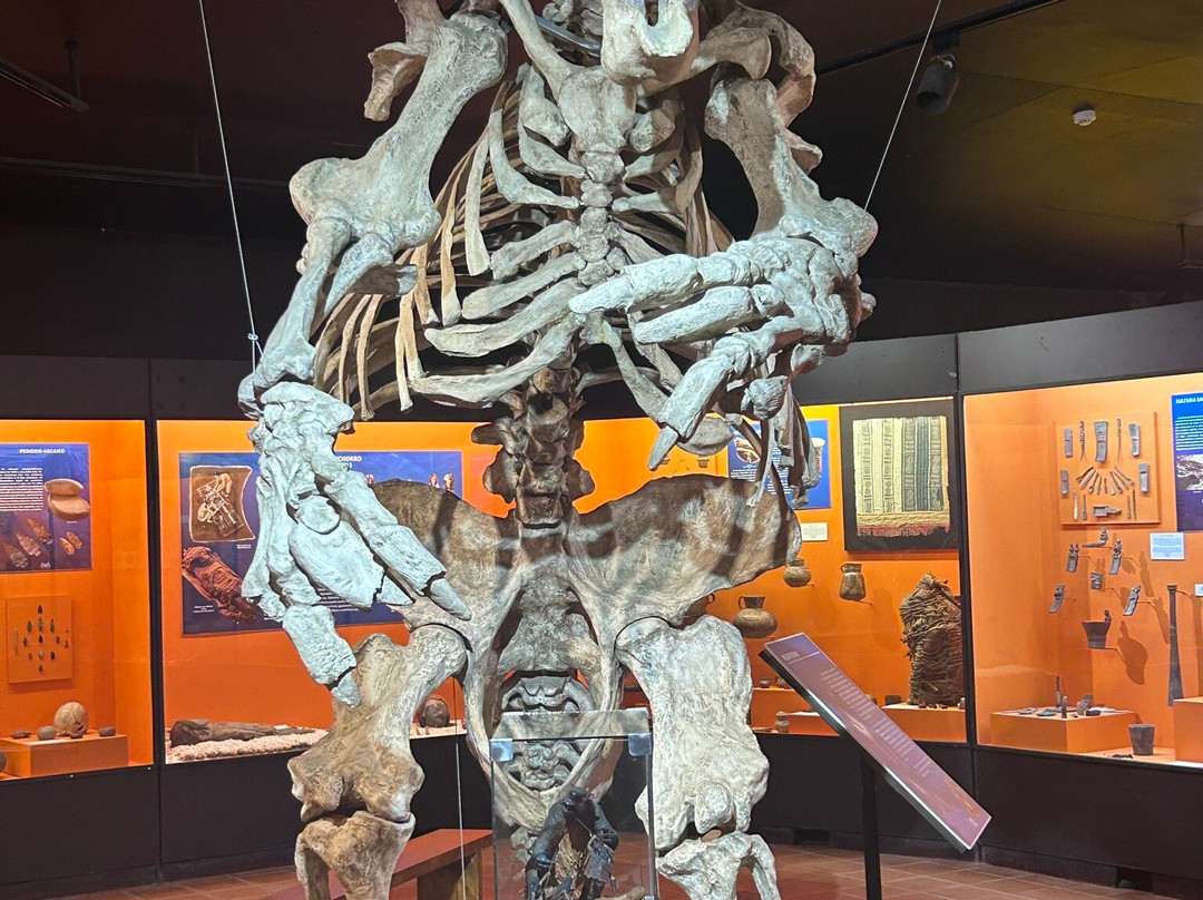 科尔加瓜博物馆-圣克鲁斯必去景点