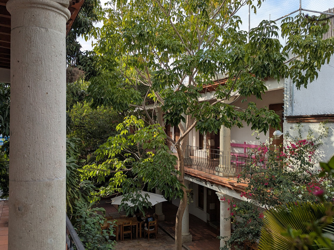 NaNa Vida Hotel Boutique Oaxaca主图