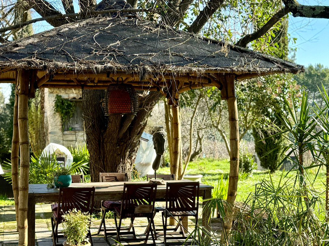 Domaine du Mas d'Alphonse主图