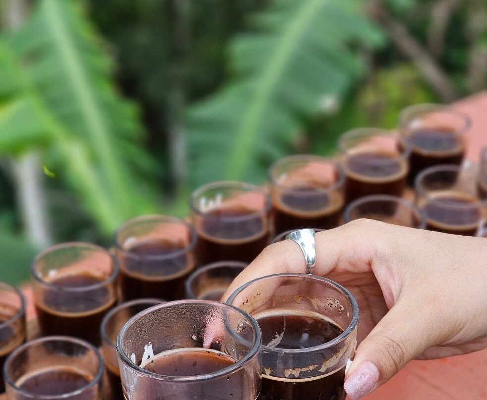 Wanagiri Coffee Plantation Bali And Luwak Coffee景点图片