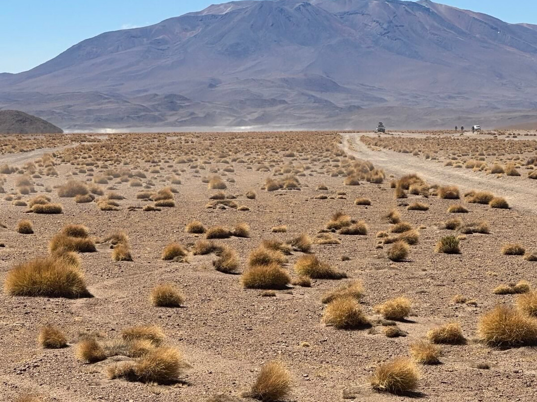 Andes Salt Expeditions Tour Operator景点图片