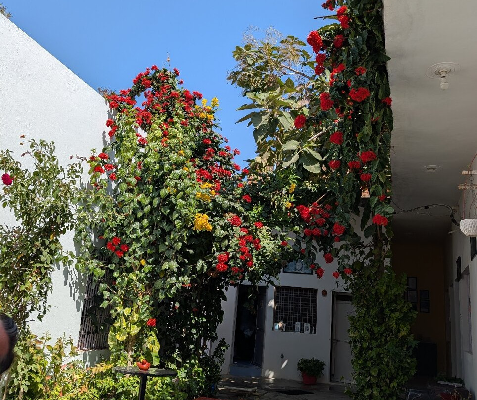 The High Vill Home Stay主图