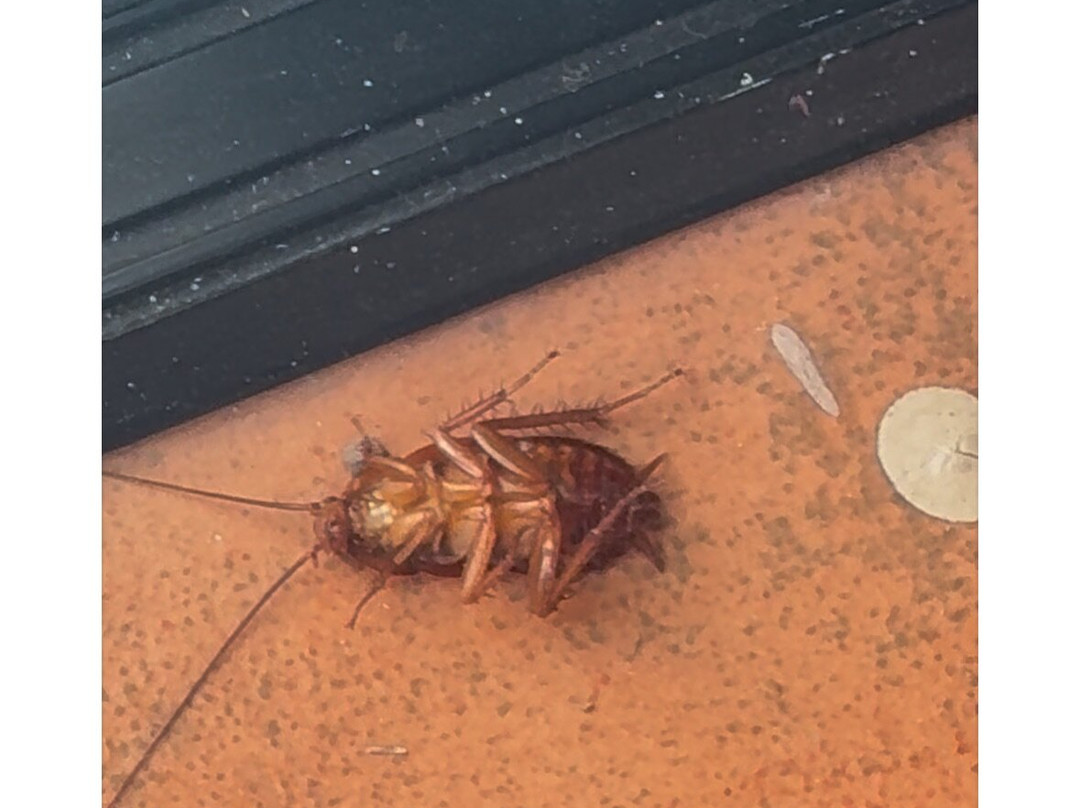 Lodge On The Desert主图