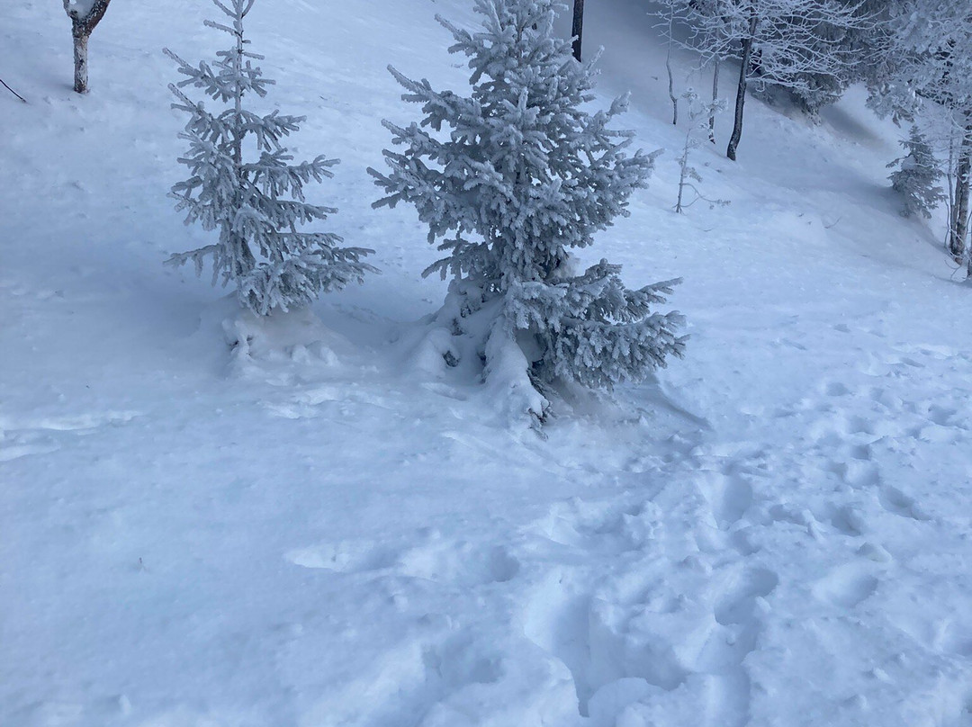 SKI-INN MastonAitio主图