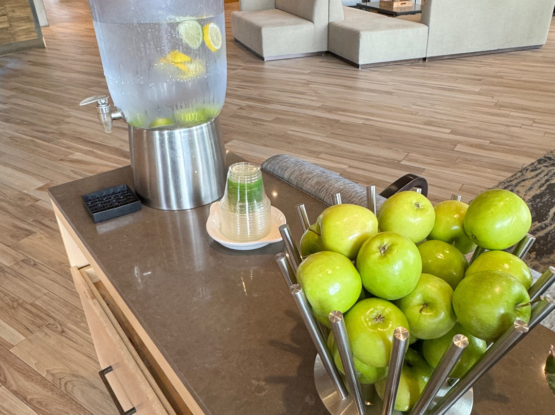 凯悦艾莫利维尔旧金山湾区域酒店主图