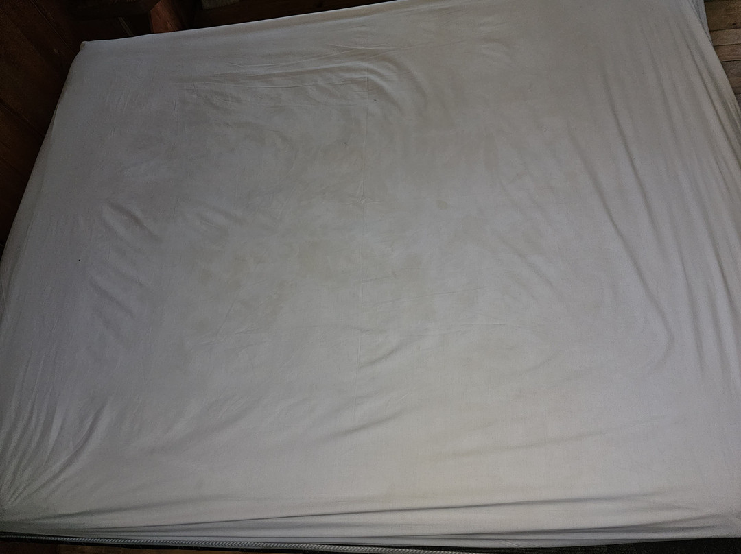 Cabanas Ensenada Bosque Nativo主图