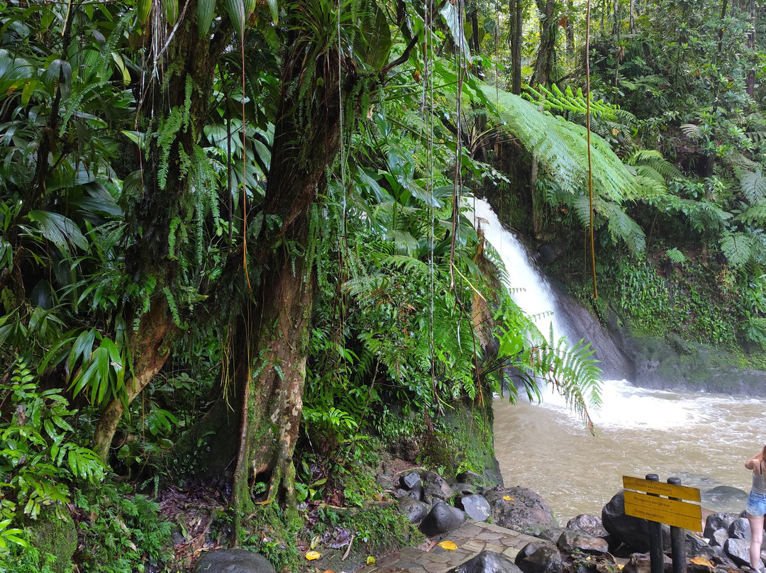 Cascade aux Ecrevisses-Parc National必去景点