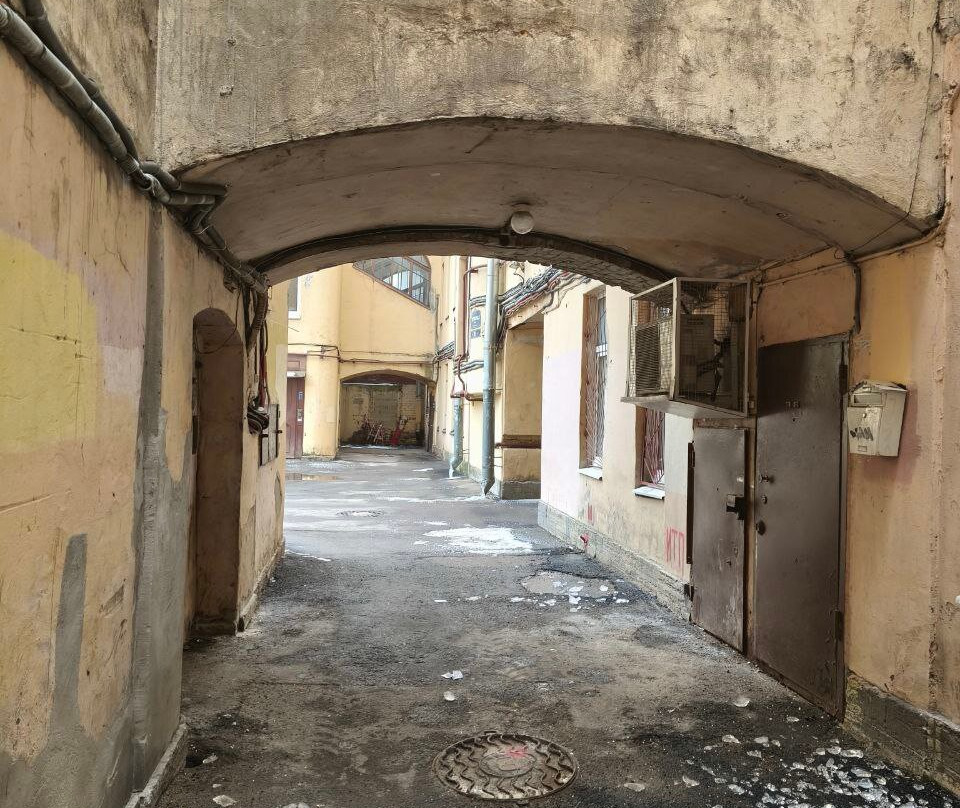 St. Petersburg Walks With Dmitry Kaplun景点图片
