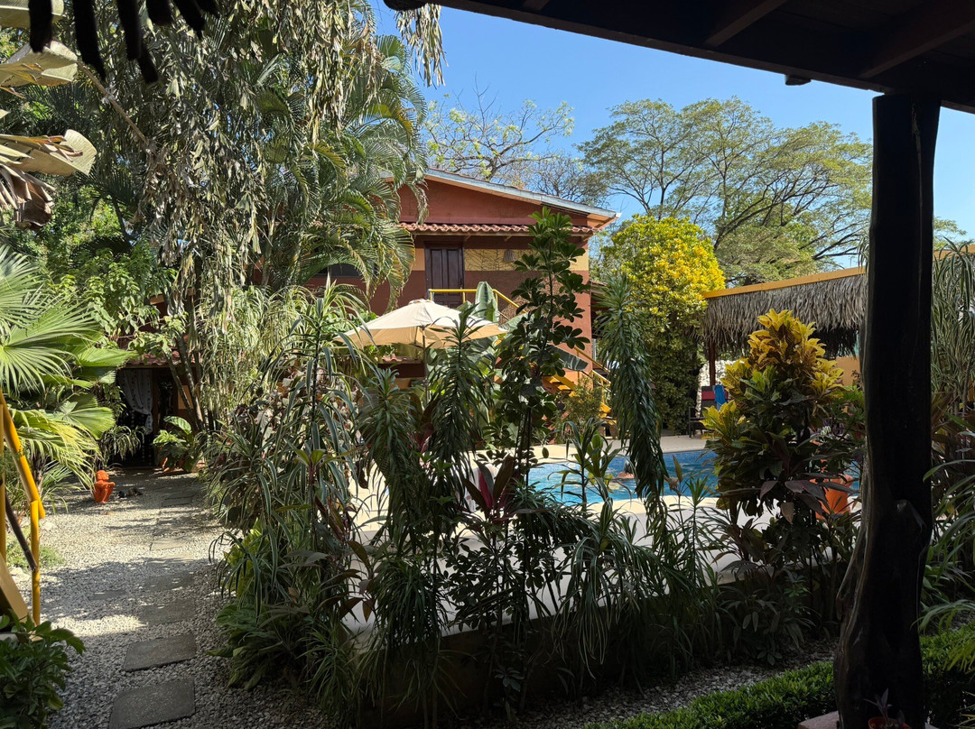 Samara Palm Lodge主图