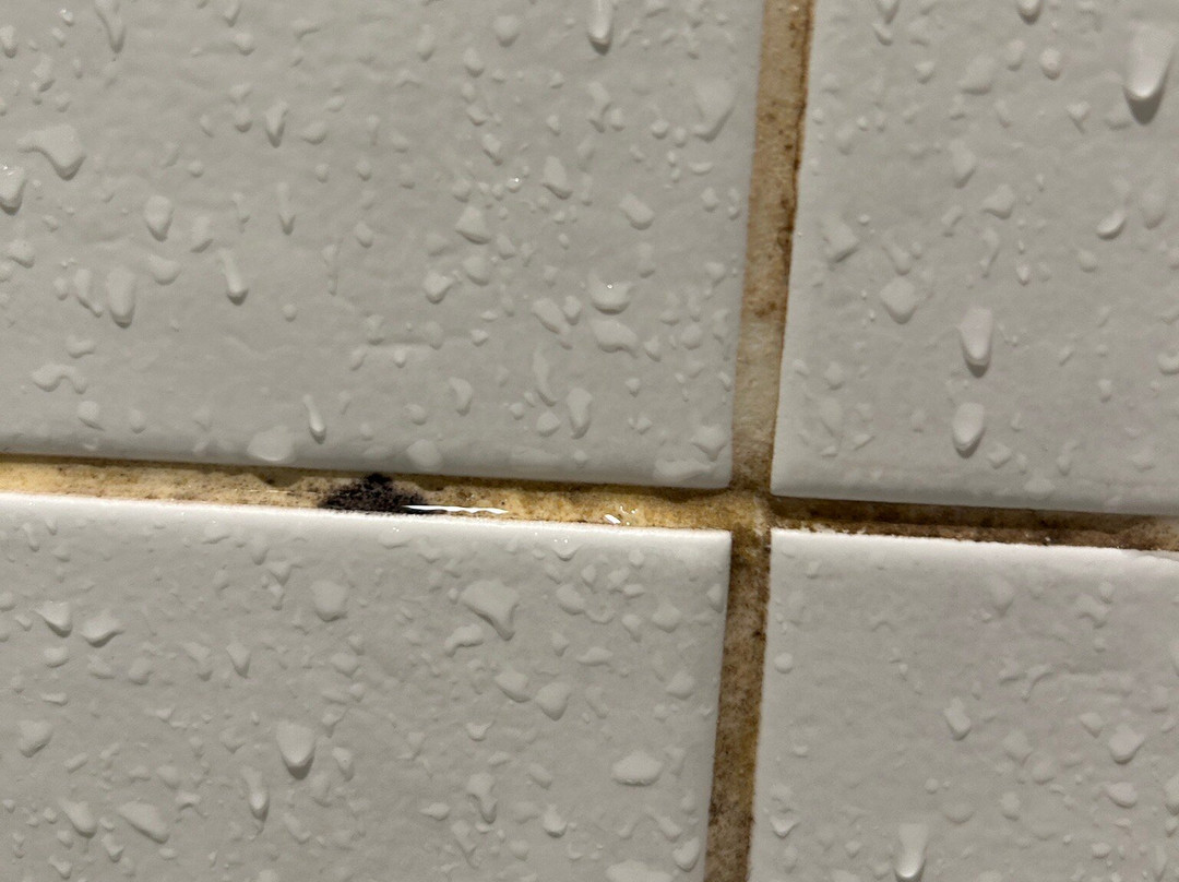 Hotel Club MMV Plagne 2000主图