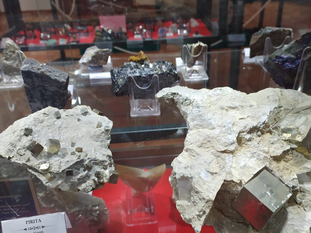 Museo Geologico y Minero de Santa Marta景点图片