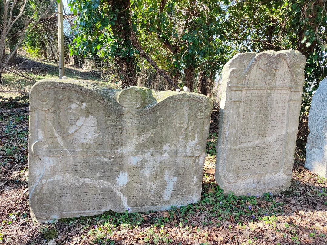 Antico Cimitero Ebraico di Conegliano-科内利亚诺必去景点