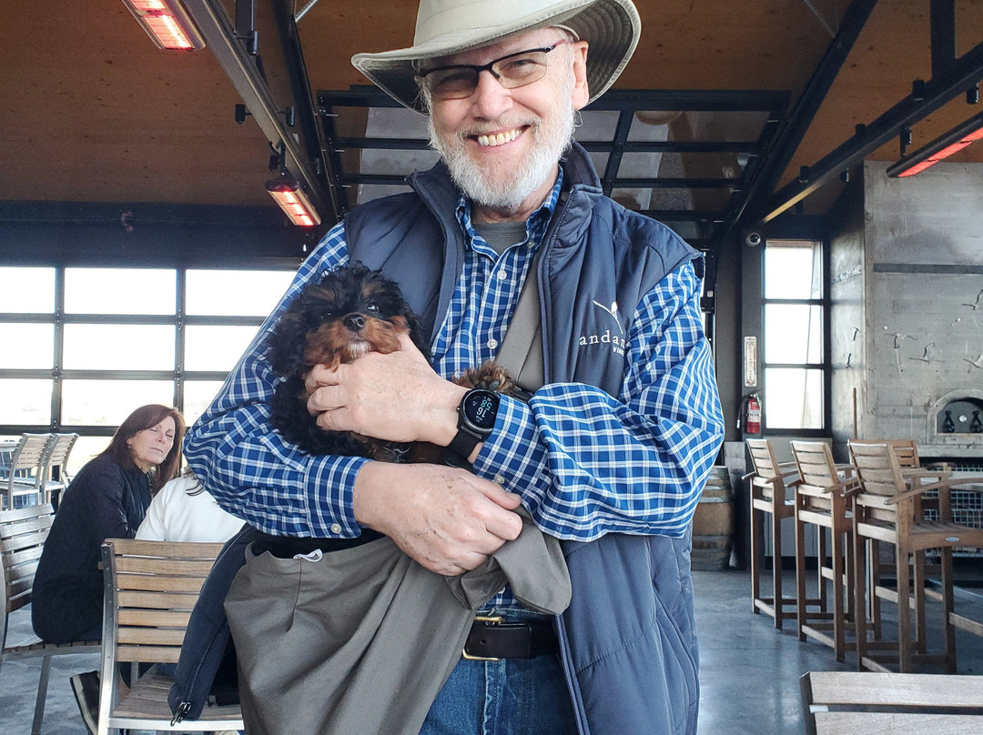 Andante Vineyard-Dallas必去景点