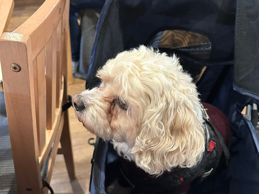 Travelodge Sandwich主图