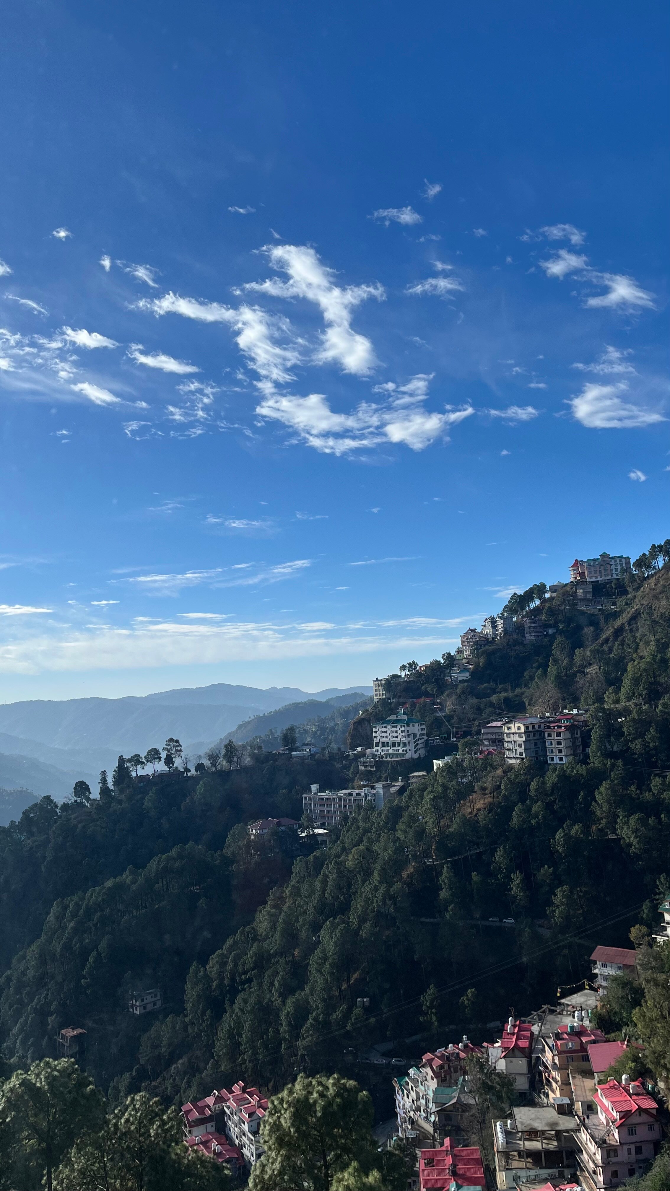 Snow Valley Resorts Shimla-酒店景观