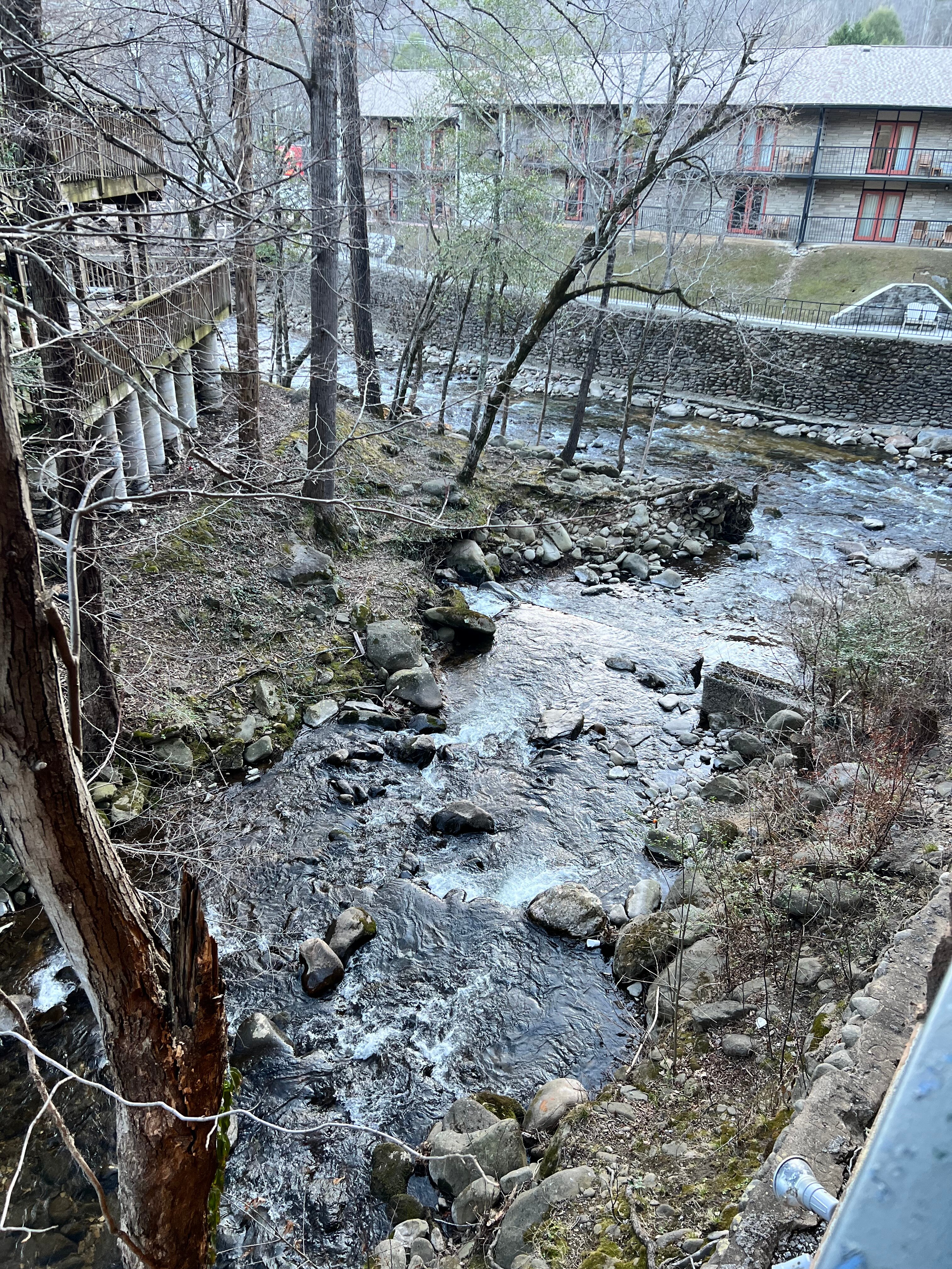 Old Creek Lodge-酒店景观