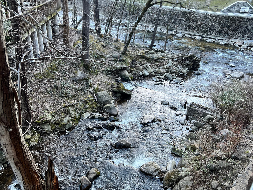 Old Creek Lodge主图