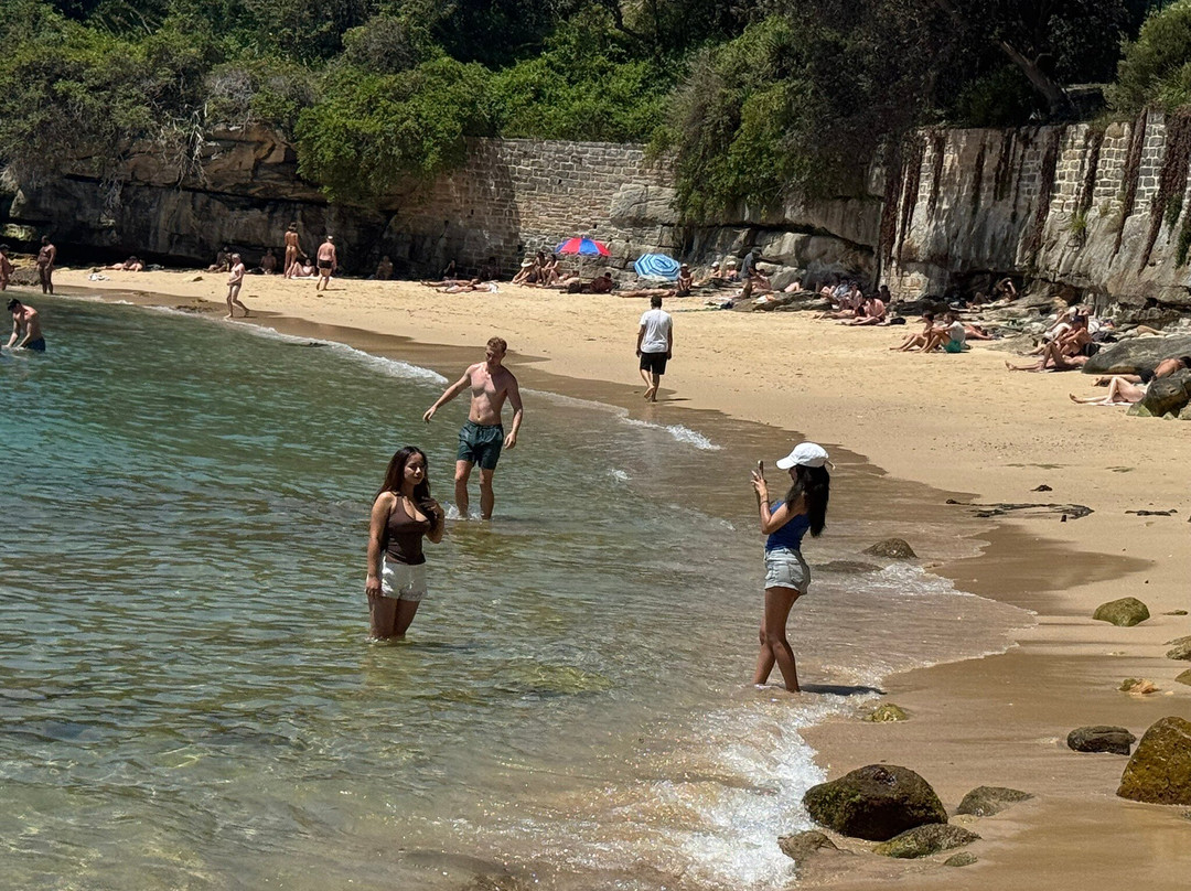 淑女湾-悉尼必去景点