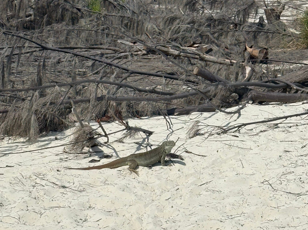 Vitamin Sea Watersports Tci-Long Bay Hills必去景点