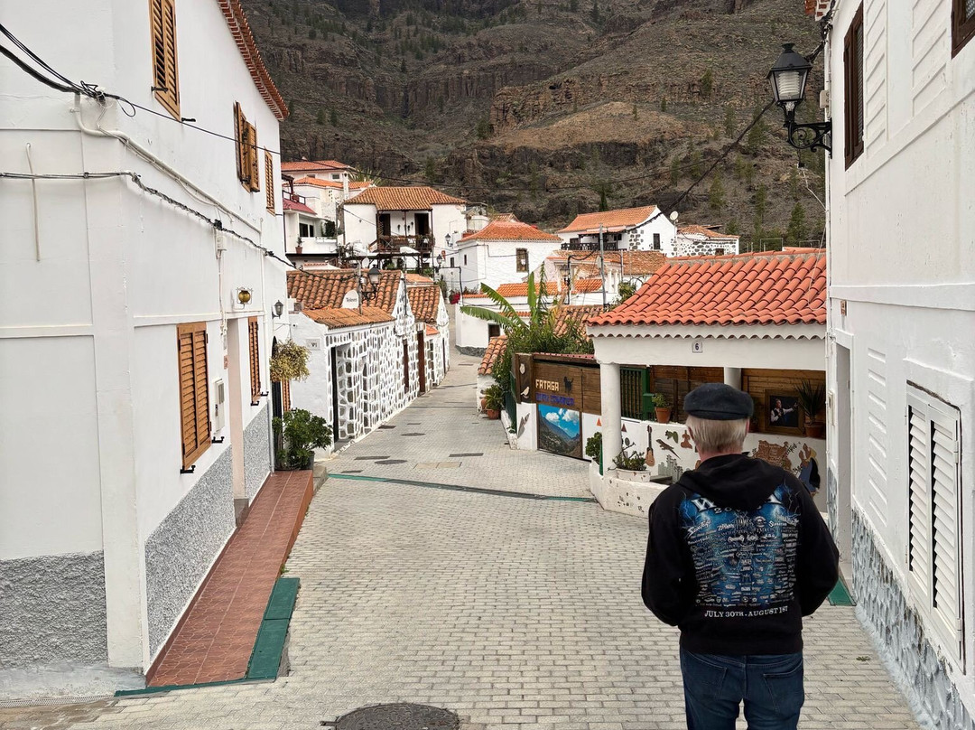 Barranco de Fataga景点图片