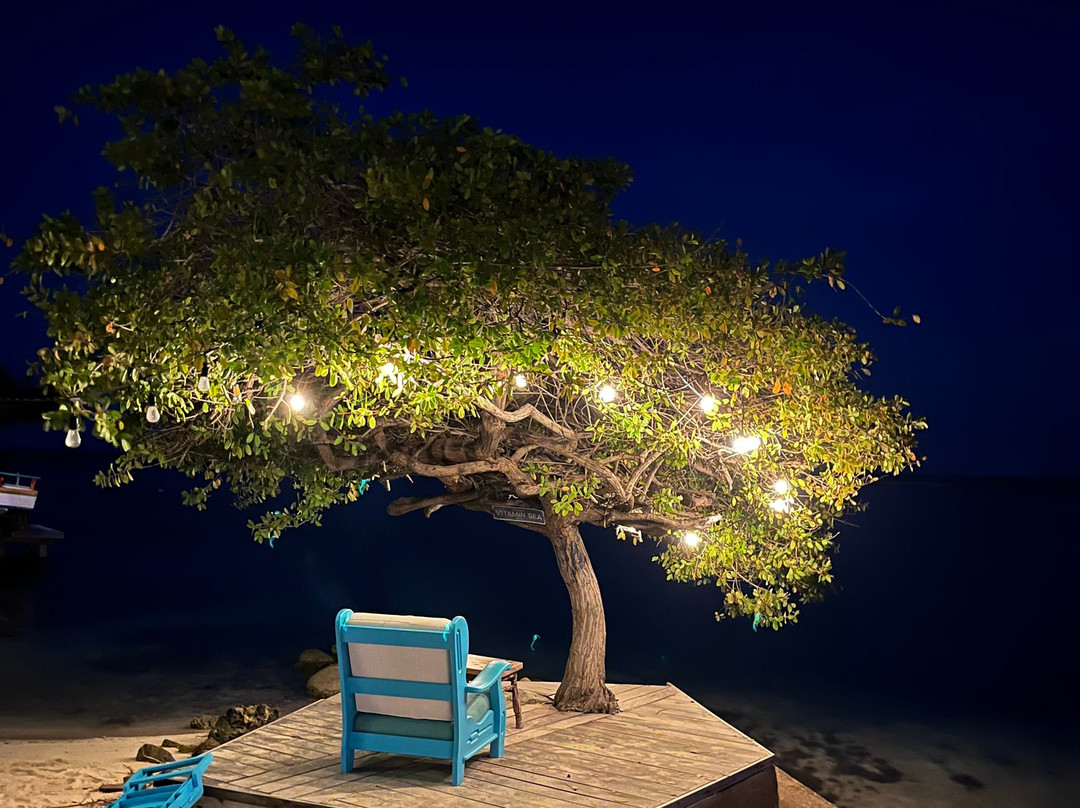 Serene By The Sea主图