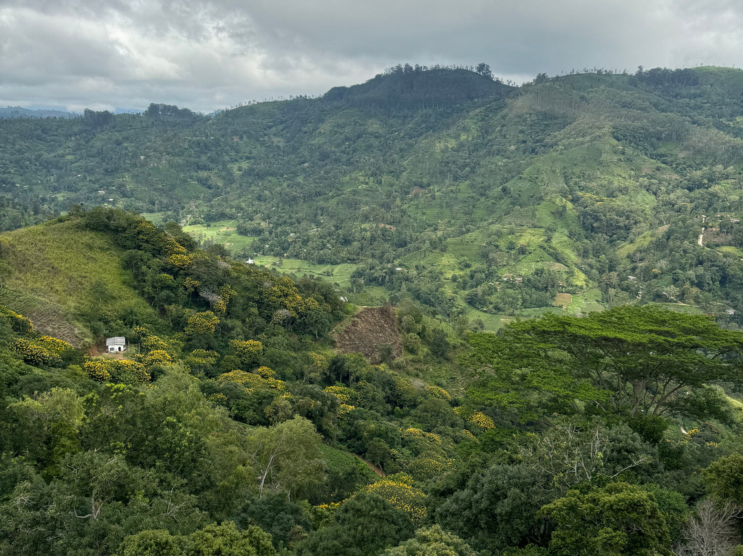 Sri Lanka Holiday Tours-唐卡拉必去景点