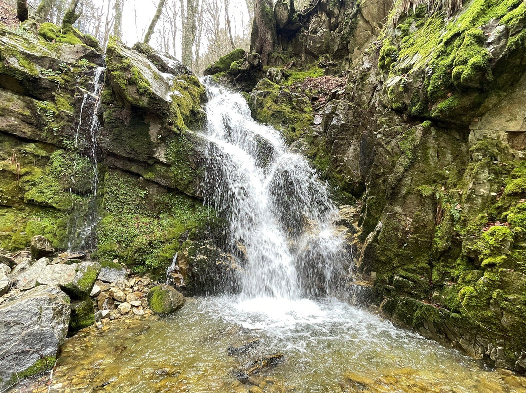 Gambarie Treking景点图片