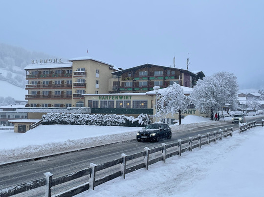 Harfenwirt Hotel主图