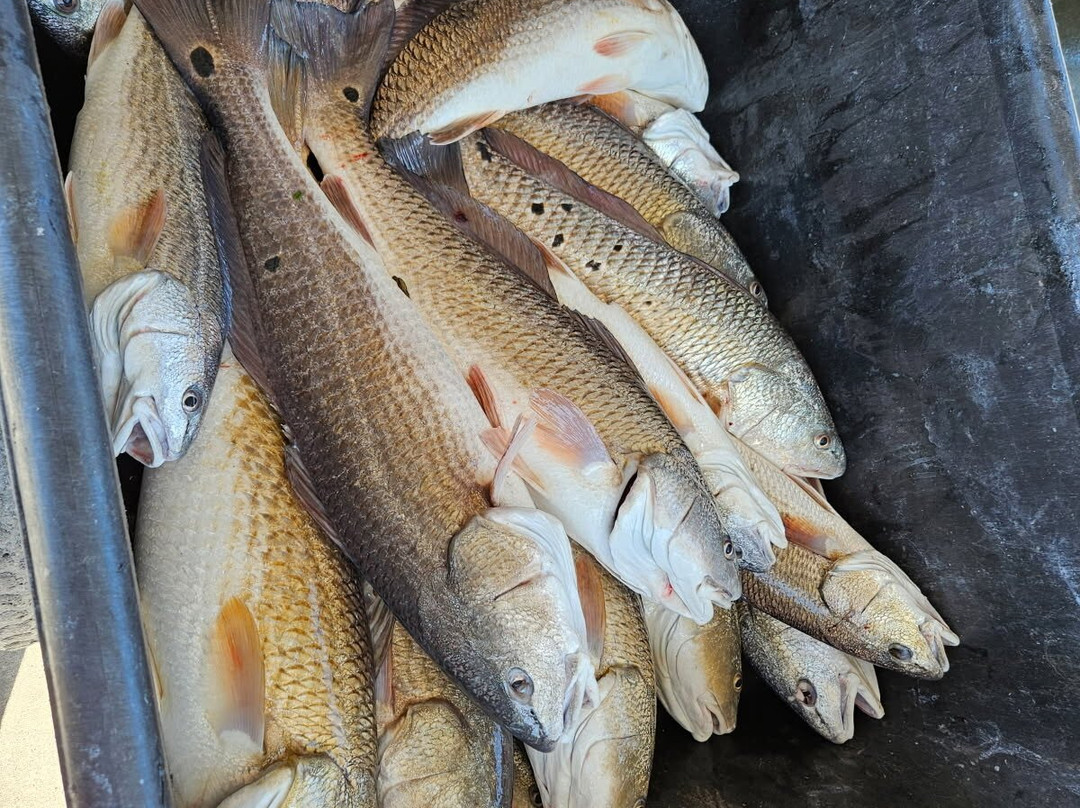 Salty Marsh Charters景点图片