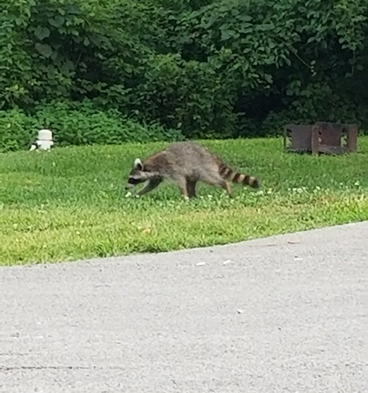 General Butler State Resort Park - Lodging主图