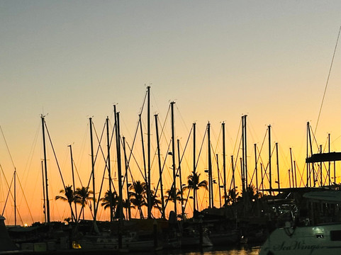 Rock Star Sailor Private Charters & Sailing School-瓦拉塔港必去景点