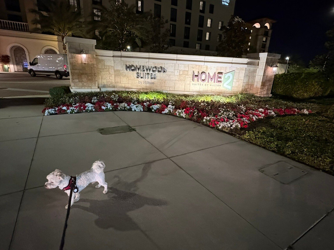 Homewood Suites by Hilton Orlando at FLAMINGO CROSSINGS Town Center主图