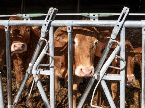 Ferme Du Bosc Renard-Heudicourt必去景点