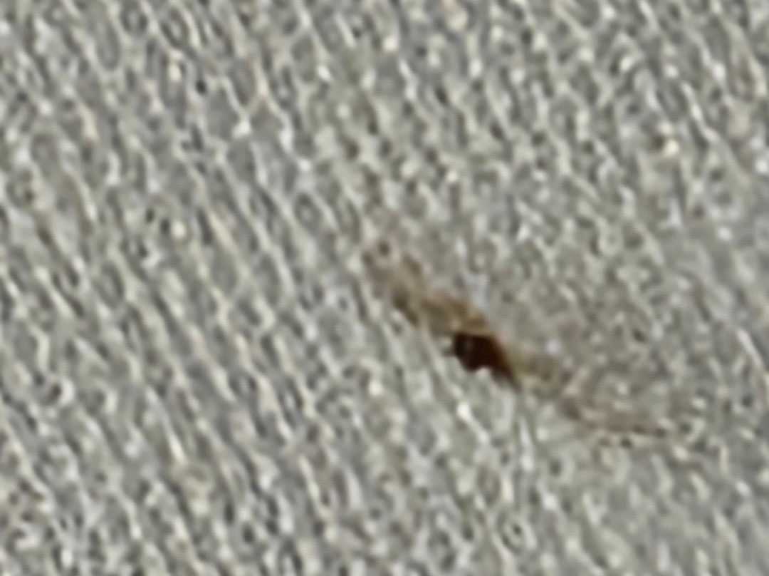 Days Inn by Wyndham Roanoke Near I-81主图