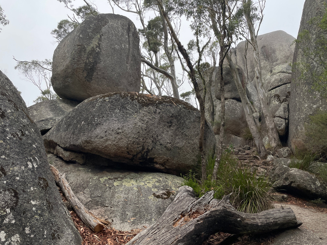 Castle Rock-Porongurup National Park必去景点